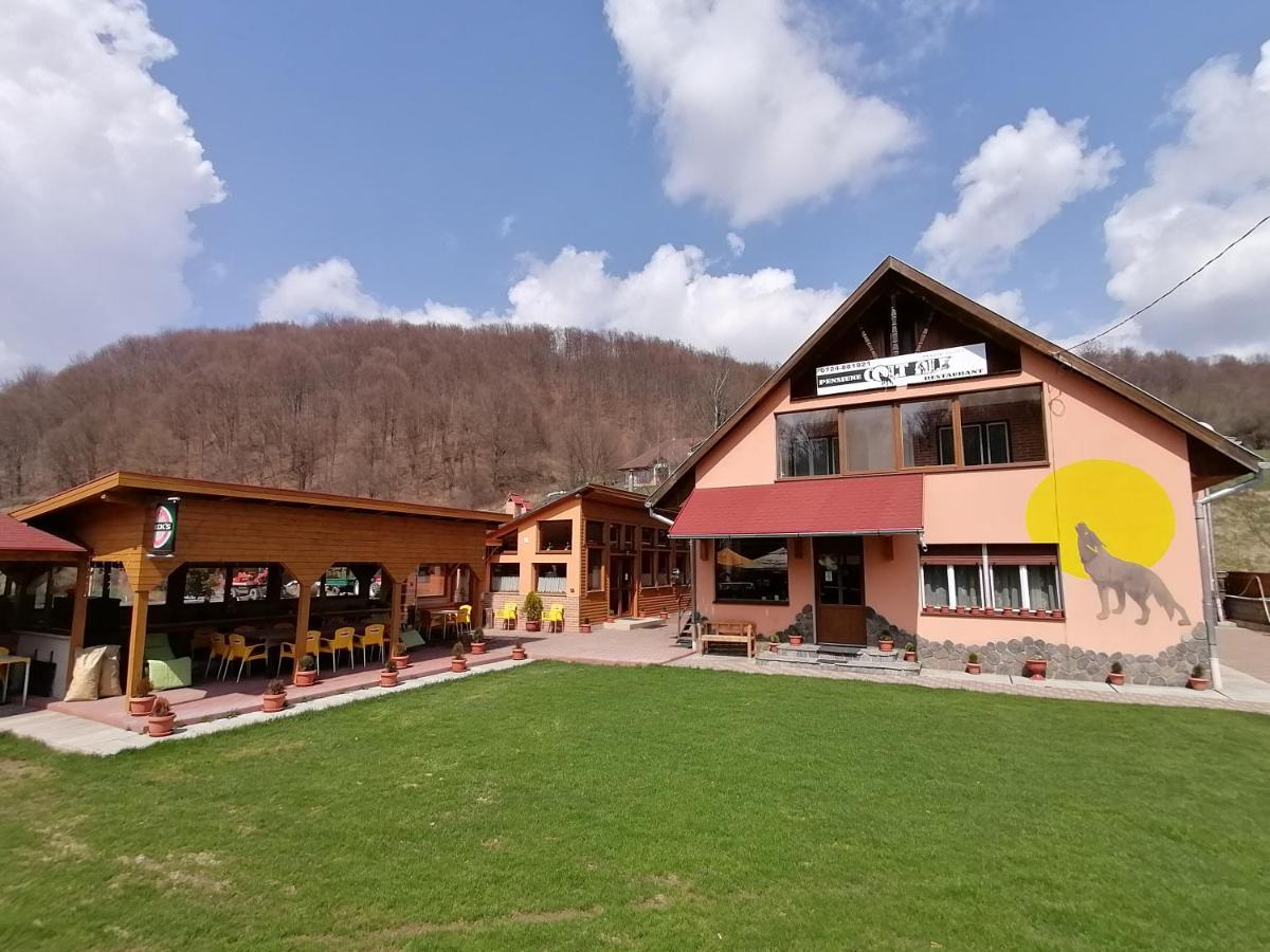 Pensiunea Colt Alb Băile Homorod Extérieur photo