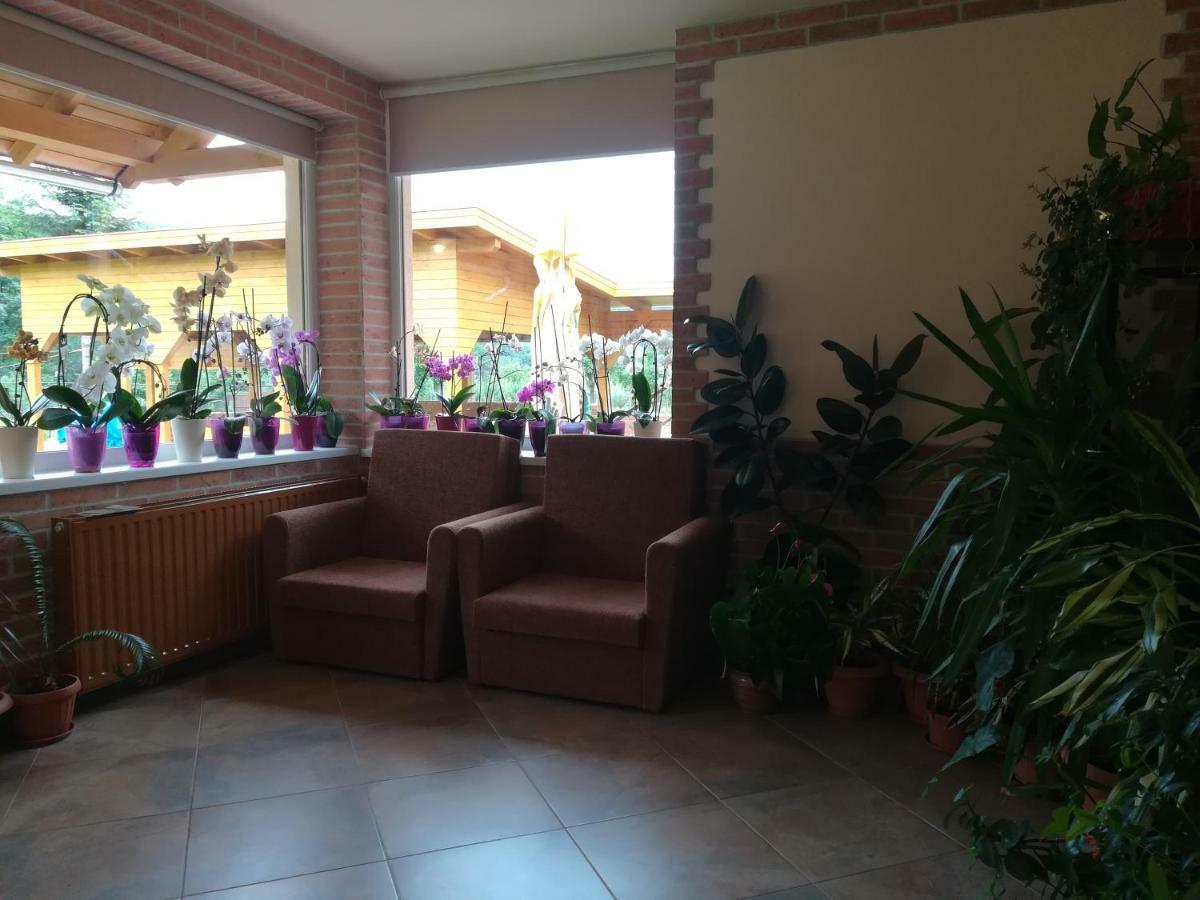 Pensiunea Colt Alb Băile Homorod Extérieur photo