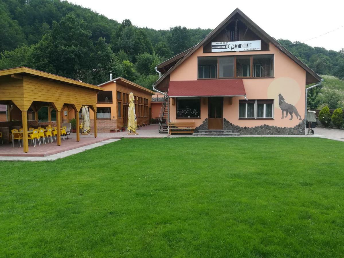 Pensiunea Colt Alb Băile Homorod Extérieur photo